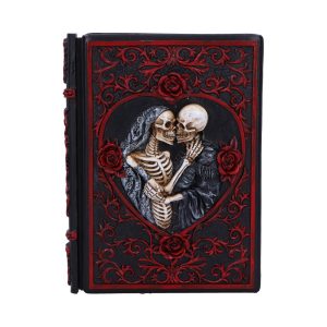 Lovers Grimoire Journal 19cm