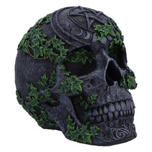 Aged Pentagram Skull 18.8cm