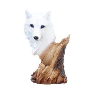 Pour of the Wild 25cm