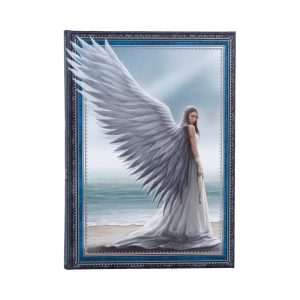 Spirit Guide Journal (AS) 17cm