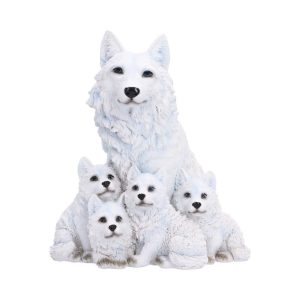 Arctic Bond 16.7cm