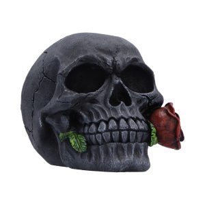The Last Rose (Pack of 2) 8.7cm