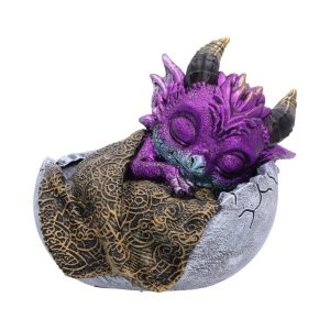Shellbound Slumber 9.5cm